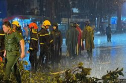 Cây gãy rơi trúng xe máy ở đường An Dương Vương, một người tử vong