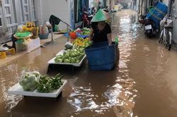 Vĩnh Long đối mặt với các đợt triều cường gây ngập sâu trong ba tháng cuối năm
