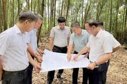 Đẩy nhanh giải phóng mặt bằng Dự án TBA 220kV Dung Quất 2 và đường dây đấu nối