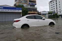 Nghệ An: Ôtô chết máy la liệt, tài xế mòn mỏi chờ cứu hộ