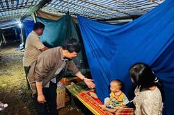 Sụt lún đất tại xã Quảng Sơn, Lâm Đồng, hàng chục hộ dân được sơ tán khẩn cấp