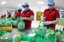 Công nghệ bảo quản tăng sức cạnh tranh cho nông sản Việt