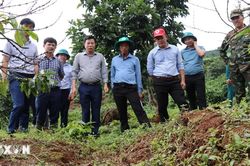 Lâm Đồng tập trung bảo đảm an toàn cho người dân vùng sụt lún Đắk Snao