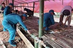Tập trung bảo đảm an toàn cho người dân vùng sụt lún thôn Đắk Snao
