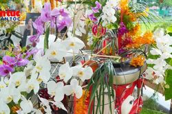 Hoa Việt tỏa sắc giữa không gian văn hóa và xe cổ