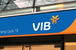 Hàng loạt lãnh đạo VIB vừa nhận thêm 2,27 triệu cổ phiếu