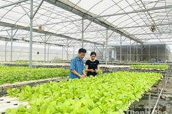 Nghị quyết 20 tạo &ldquo;luồng sinh kh&iacute; mới