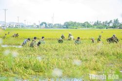 Bám trụ vùng lũ, chung tay đưa cuộc sống trở lại bình thường