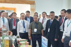Chuyển đổi số và thương mại xanh nâng tầm liên kết giao thương miền Bắc