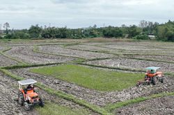 Điểm tựa kinh tế tập thể