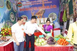 Tăng cường quảng bá nông, đặc sản địa phương