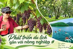 Phát triển du lịch gắn với nông nghiệp