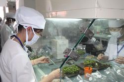 Bài 4: Tạo sắc thái mới cho 'trụ đỡ' tam nông