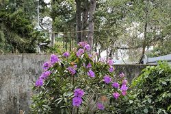 Phiêu lãng miền trung thu