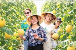 Phát triển nông nghiệp sinh thái tuần hoàn, đa giá trị