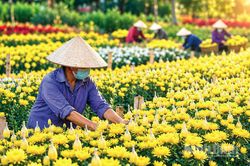 Đánh thức tiềm năng kinh tế nông nghiệp