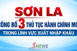 Sơn La công bố 3 thủ tục hành chính mới trong lĩnh vực xuất nhập khẩu