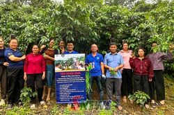 Bước chuyển đổi xanh, để nâng cao sức cạnh tranh
