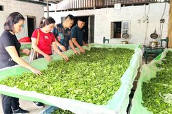 Mở rộng thị trường tiêu thụ bằng sản xuất 'sạch'