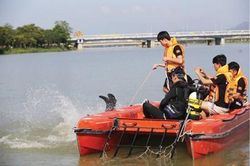 Nâng cao năng lực ứng phó sự cố thiên tai