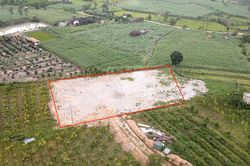 Đắk Lắk: Vì sao xã M'Drắk hủy quyết định chuyển mục đích hơn 4.000m² đất?