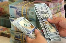 Thị trường tiền tệ tuần 14 - 18/9: Hút ròng mạnh hơn 62.500 tỷ đồng, tỷ giá USD vẫn đi lên khi Fed và BoJ tăng lãi suất