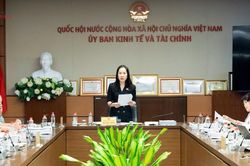 Xác định rõ bản chất thị trường hàng hóa phái sinh