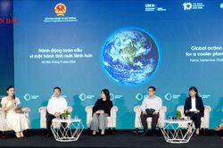 Cần xây dựng chương trình hành động quốc gia về làm mát