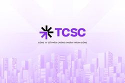Chi tiền gom cổ phiếu Freco Việt Nam (TAB), Chứng khoán Thành Công (TCI) báo lợi nhuận bán niên sụt giảm