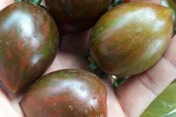 Loại quả xưa không ai biết đến nay thành đặc sản giá 100.000 đ/kg, trồng một lần thu hoạch nhiều năm, tốt cho sức khỏe
