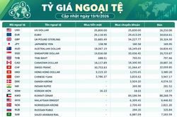 Tỷ giá ngoại tệ ngày 19/9: USD ở mức 26.210 đồng, AUD trên 18.800 đồng