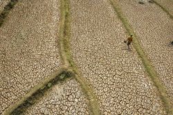 Châu Á gấp rút ứng phó 'siêu' El Nino