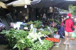 Giá rau xanh ở Hà Nội tăng vọt sau mưa lớn kéo dài