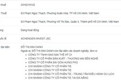 Công ty Xây dựng dân dụng Phú Quốc chào bán trái phiếu khi chưa đủ điều kiện