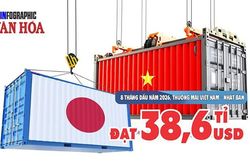 Nhật Bản chi 20,4 tỉ USD mua hàng Việt trong 8 tháng