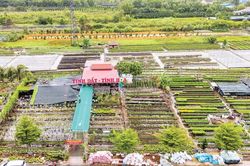 Nâng tầm di sản làng hoa Sa Đéc