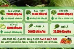 [Video] Giá nhiều loại rau xanh tại Hà Nội tăng mạnh sau mưa lớn kéo dài