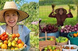 Nữ 9X Đà Nẵng trồng vườn rau Việt 100m² giữa nước Mỹ để giữ hương vị quê nhà