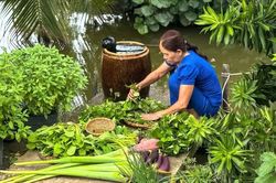 Nơi gói ghém một đời thương