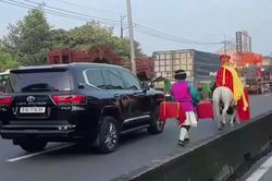 Xác minh clip 'thầy trò Đường Tăng' cưỡi ngựa trên làn ô tô ở TPHCM