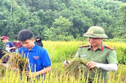 Giữ mùa vàng, thắm tình quân dân