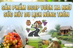 Sản phẩm OCOP vươn xa nhờ sức hút du lịch nông thôn