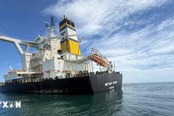 Khẩn trương ứng cứu tàu hàng Merchant Mariner gặp sự cố ở vùng biển Quảng Ngãi