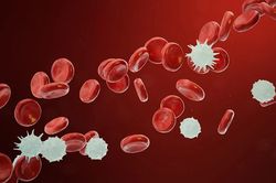 Phát hiện gene gây kháng thuốc trong điều trị ung thư máu