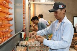 Vĩnh Long chuyển tư duy chăn nuôi từ sản xuất sang làm kinh tế