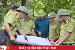 Khi người giữ rừng có thêm “trợ thủ số”