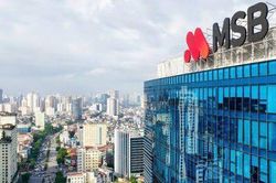 MSB: Dư nợ liên quan dự án trục cảnh quan sông Hồng chiếm tỷ trọng rất nhỏ trong danh mục