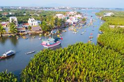 'Cộng sinh' với đời dừa