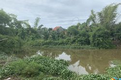 Sông quê qua những bến đời