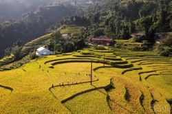 Vì một Lào Cai hạnh phúc